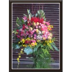 CBF-012
